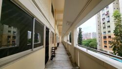 Blk 254 Bangkit Road (Bukit Panjang), HDB Executive #481011801